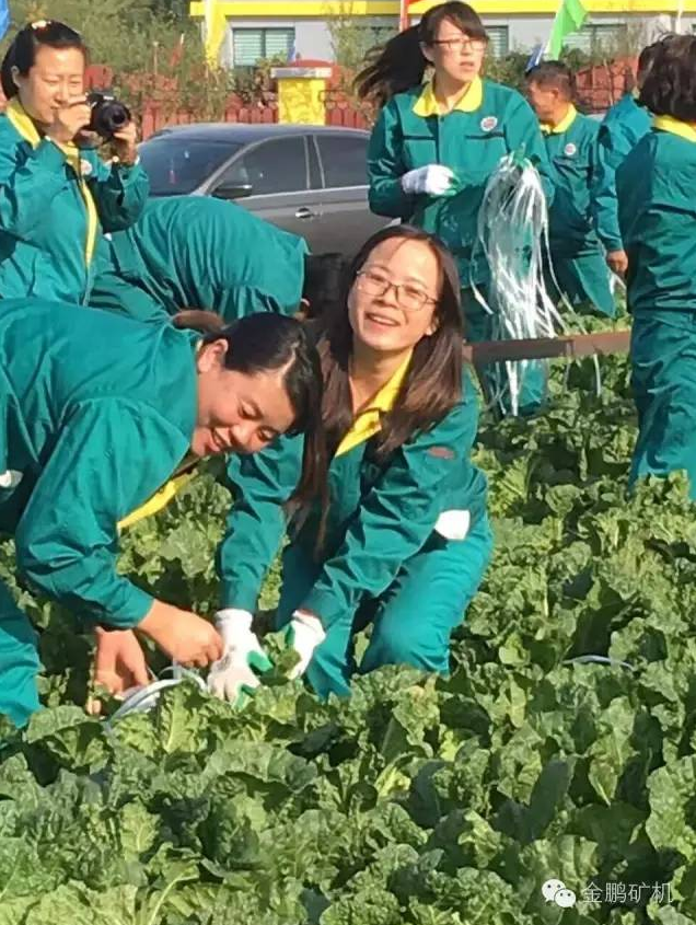 1481163484898389.png 圖片.png